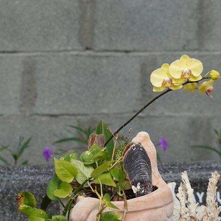 Fisherman Village Boutique Villas - Beachfront ハムタン県 エクステリア 写真