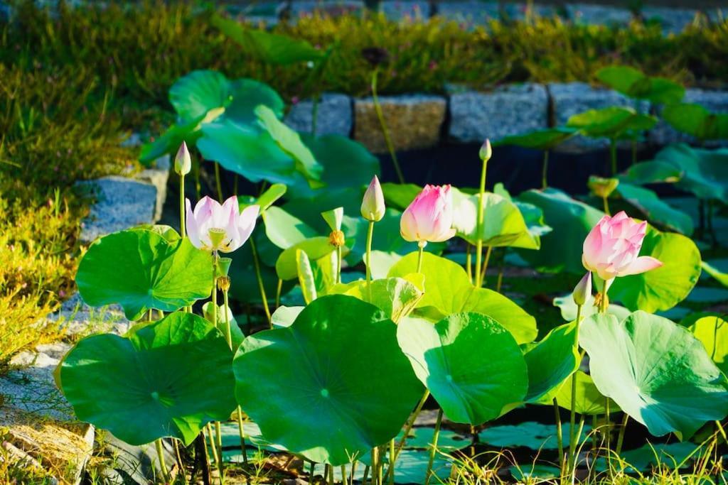 Fisherman Village Boutique Villas - Beachfront ハムタン県 エクステリア 写真