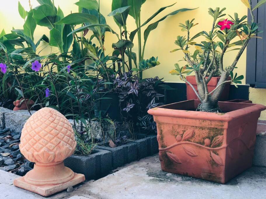 Fisherman Village Boutique Villas - Beachfront ハムタン県 エクステリア 写真