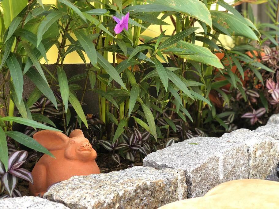 Fisherman Village Boutique Villas - Beachfront ハムタン県 エクステリア 写真
